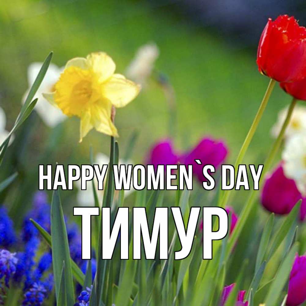 Greetings card с именем, Тимур happy women`s day международный женский день 3 Greetings with text for free download 